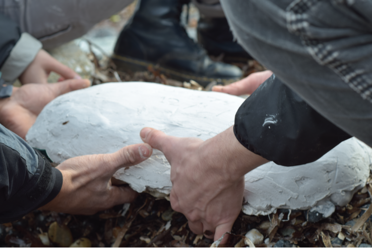 Molds were made “in situ” from basalt and slate stones